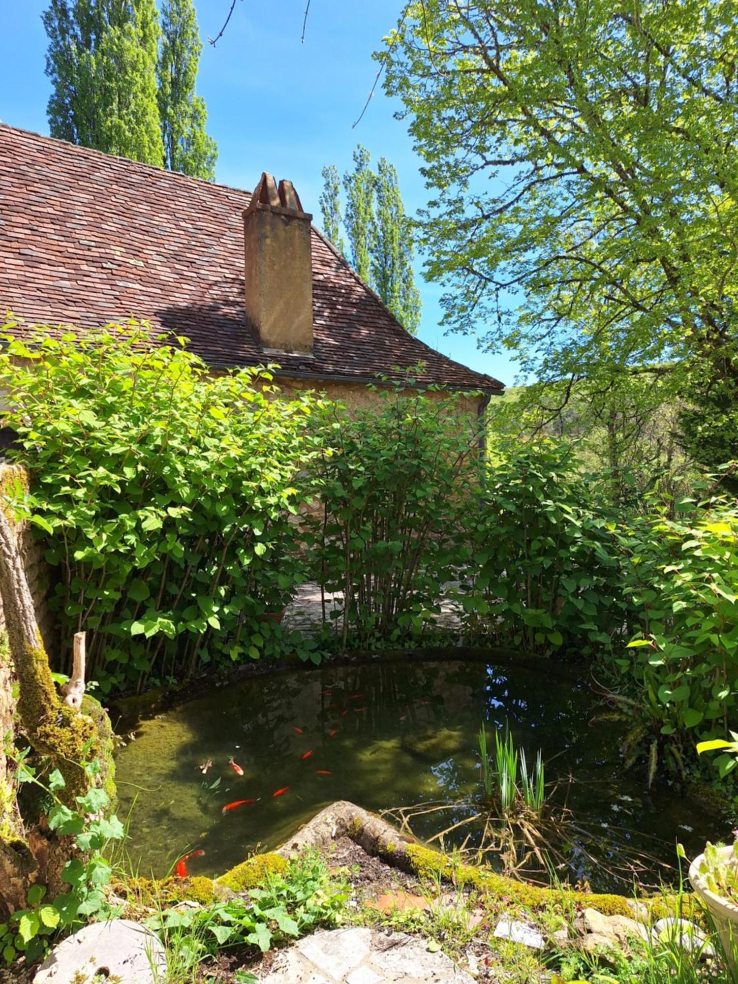 La Ferme Du Soleillal - Adult Only Hostel Campagne  Exterior photo